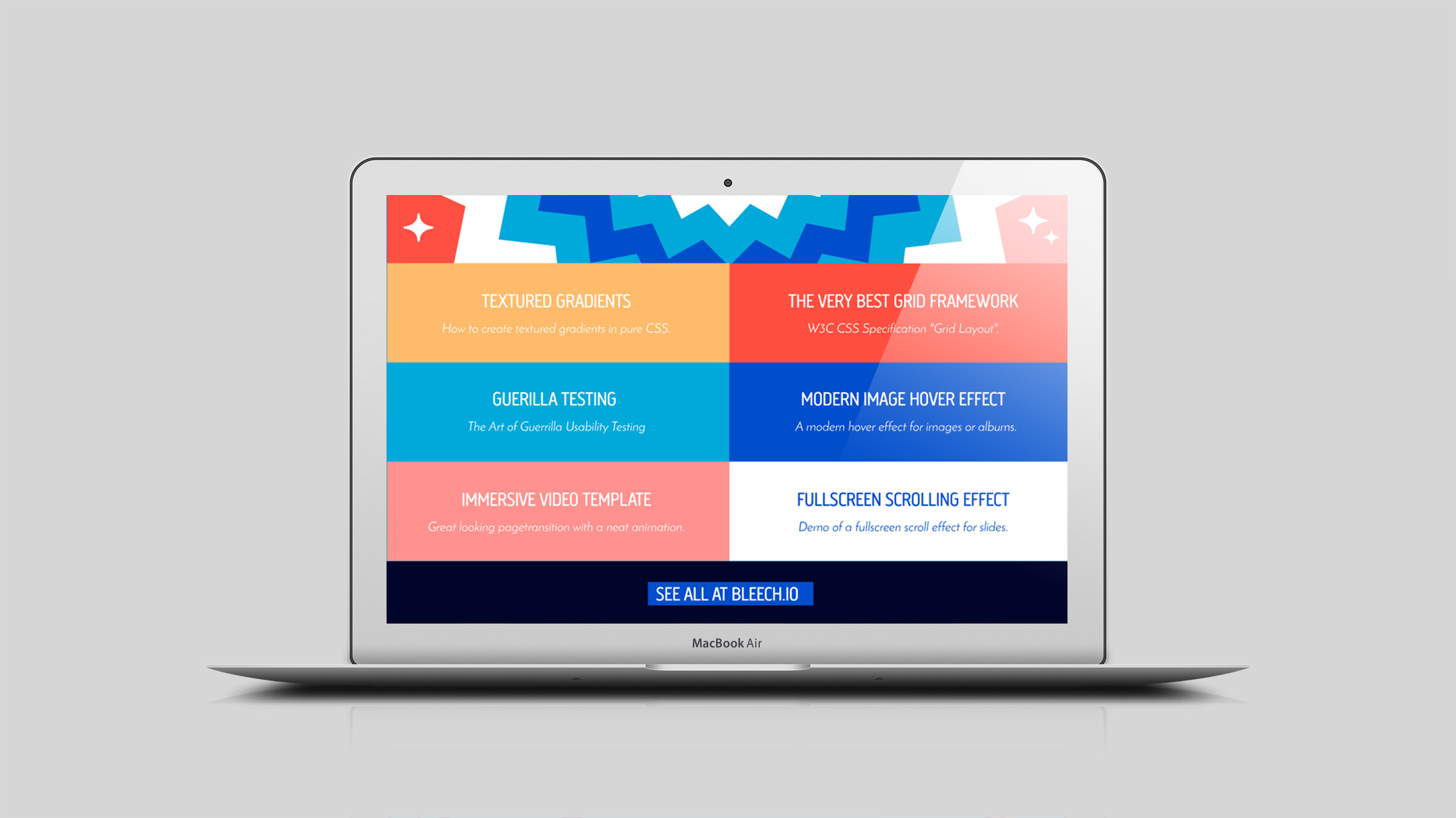 bleechweb10